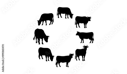 Circular cow silhouette collection with grazing and standing cattle poses minimalist farm animal vector