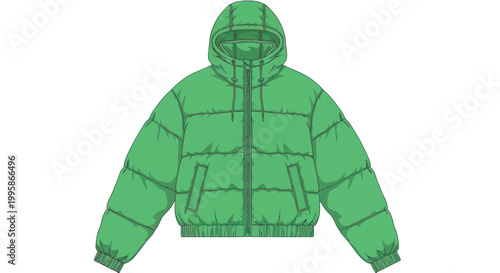 Green puffer jacket with hood, isolated on white background.
