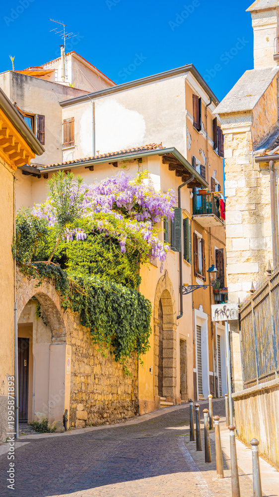 Fototapeta premium narrow street in the old town verona