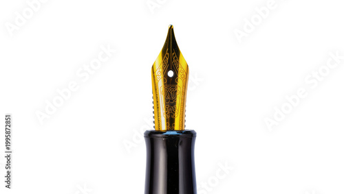 Canvas Print Gleaming gold fountain pen nib with black barrel detail