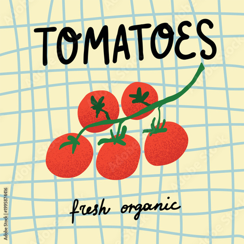Tomatoes poster. Fresh organic, ketchup packaging. Square card. Hand drawn vegetable with whole, fresh produce local food, organic farming and grocery market food concept. Vector cartoon illustration