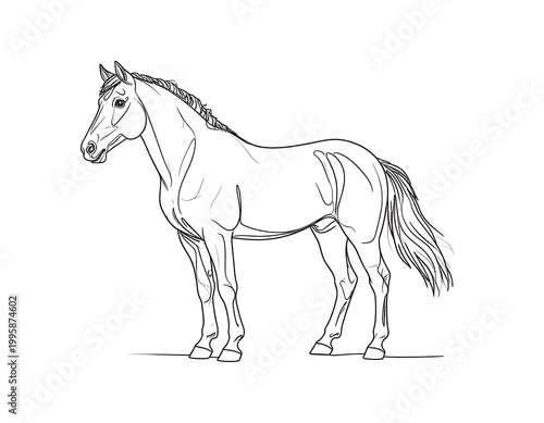Outline drawing of a horse