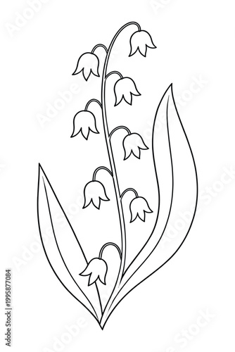 Lily of the Valley Line Art Vector, Botanical Flower Outline Illustration