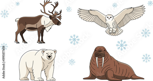 Arctic Animals Set with Reindeer, Polar Bear, Walrus, and Snowy Owl in Winter Wildlife Vector Illustration.