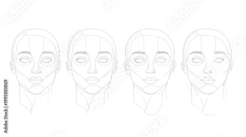 Four symmetrical line drawings of a female face, showing facial construction lines
