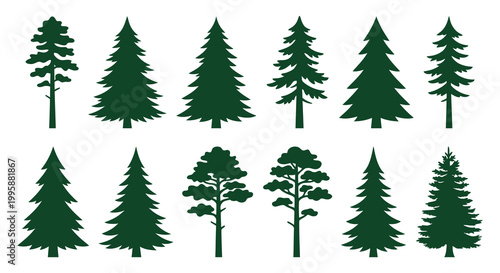 A collection of dark green pine and deciduous tree silhouettes