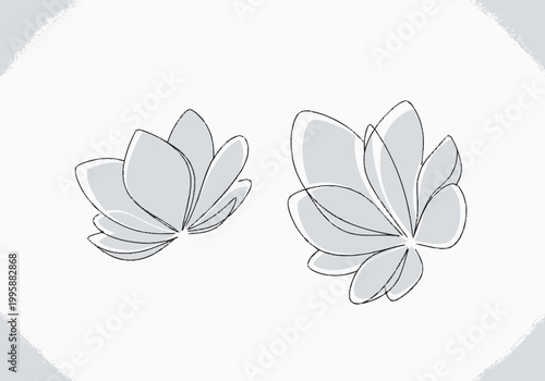 Calming floral graphics with a touch of nature and relaxation