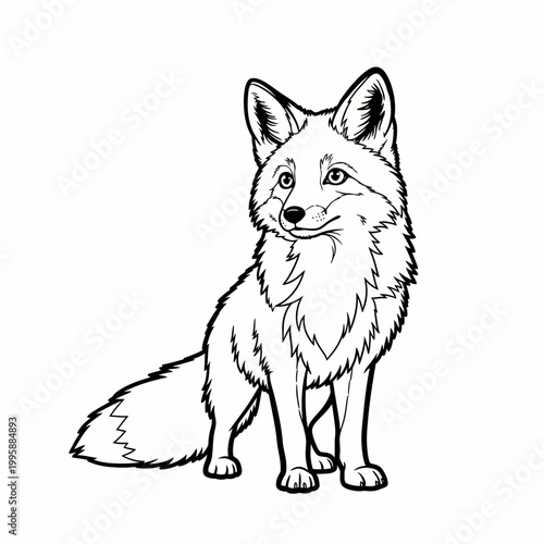 Fox stands in a classic pose with its bushy tail visible in this detailed black and white line art.