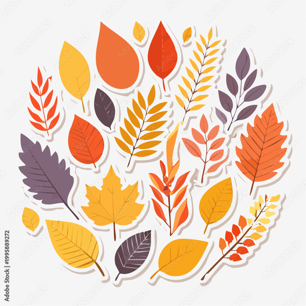 Obraz premium Autumn Leaves Collection
