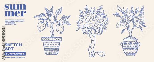 Lemon tree in pot sketch. Lemon and orange fruit vector. Citrus plant drawing. Doodle line limoncello fruit set isolated. Italian pattern vintage in vase and pot. Mediterranean tree illustration bg