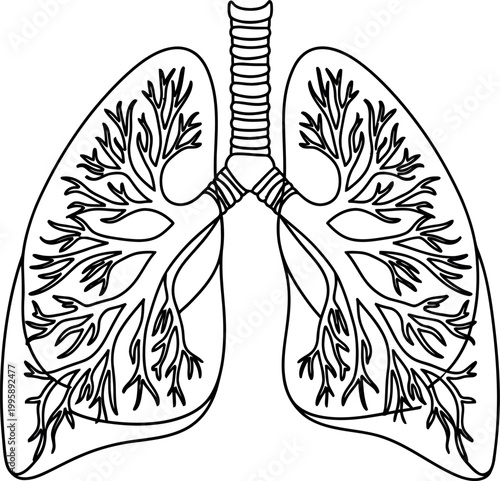 A simplified black and white illustration of human lungs, depicted as intricate tree branches, symbolizing the life-giving breath of nature and respiration.