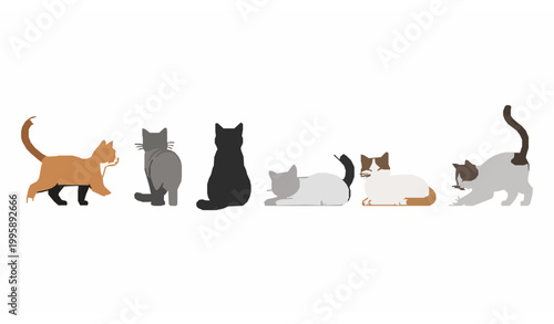 Flat cat poses vector collection with different kitten actions walking sitting lying and playing isolated on white