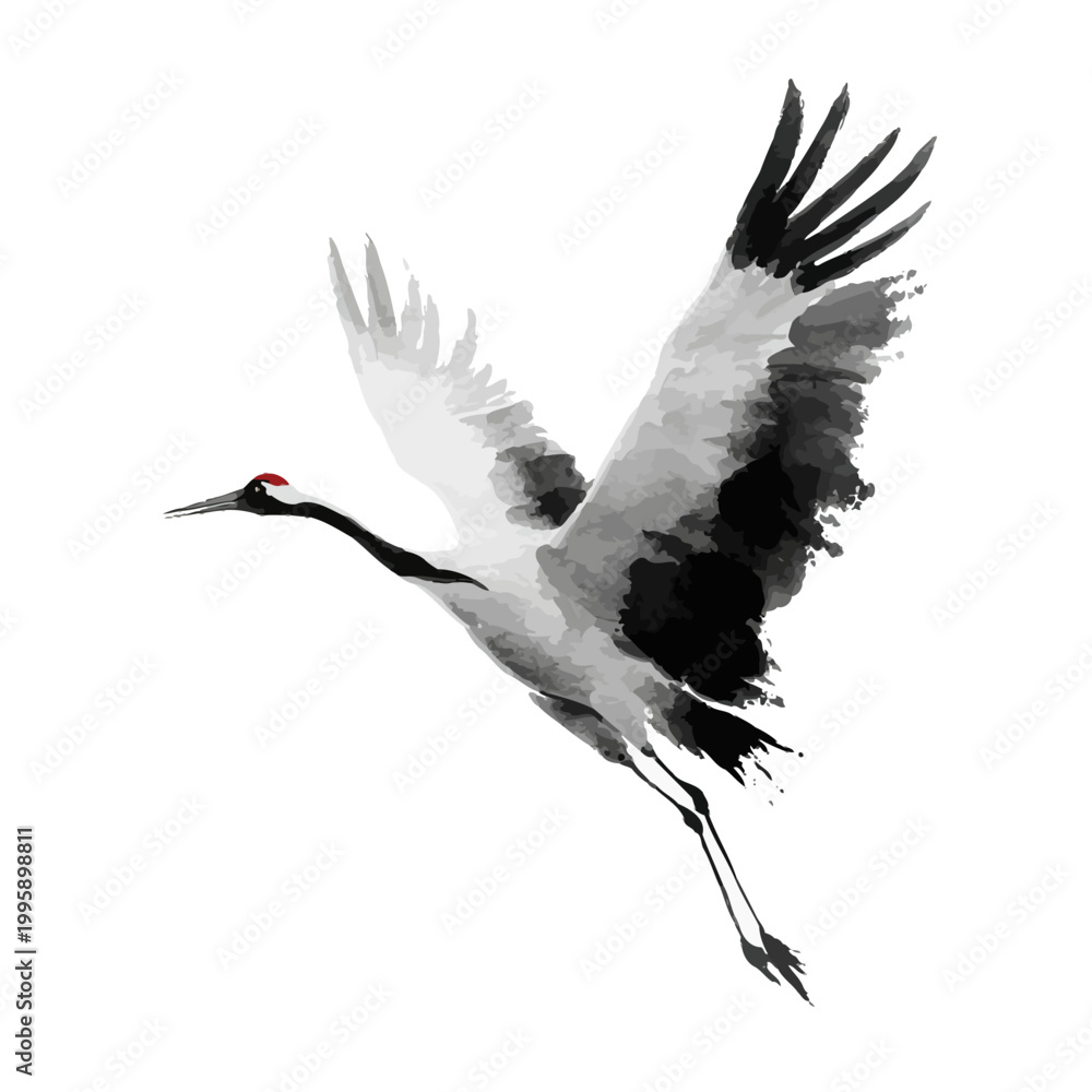 Fototapeta premium Graceful black and white watercolor crane in flight against white background