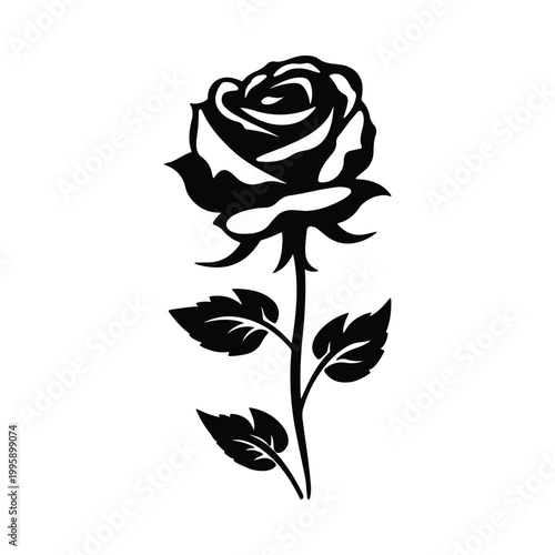 Elegant black and white illustration of a blooming rose Vector