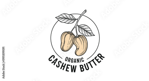 Vintage logo for organic cashew butter featuring a branch with ripe cashew apples and nuts in a detailed sketch.
