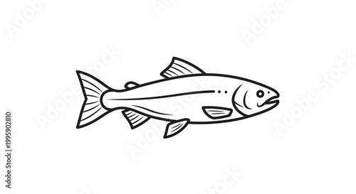 Hand-drawn line art illustration of a salmon fish, black and white graphic
