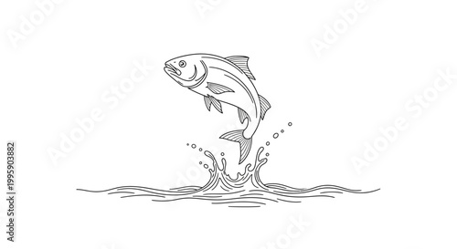 Jumping Fish Line Art Illustration, Splash of Water, Isolated on White