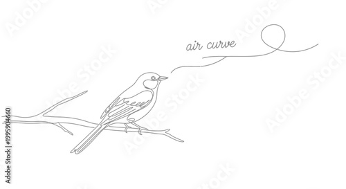 Minimalist line art of a bird singing on a branch, with 'air curve' text.