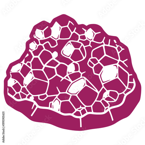 Illustrated crosssection of a purple plant stem with intricate white vein patterns showcasing internal structure