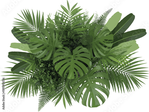 Tropical green foliage arrangement with palm leaves, jungle botanical background illustration