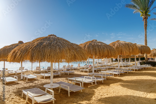 Fotografi Row of exotic thatched parasols and lounge chairs on a sea coast at a luxury res