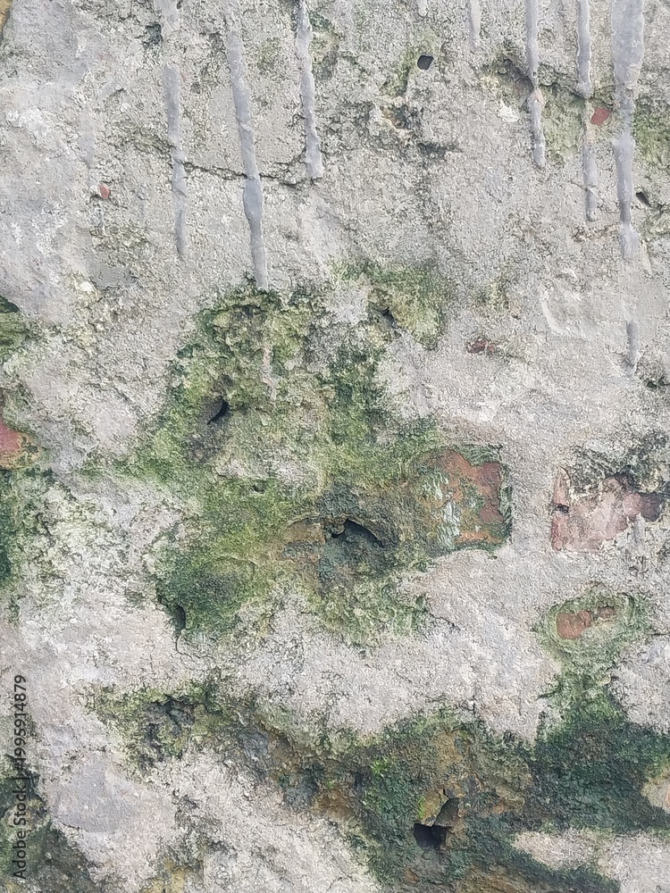 Naklejka premium Weathered stone wall texture with patches of green moss and peeling paint