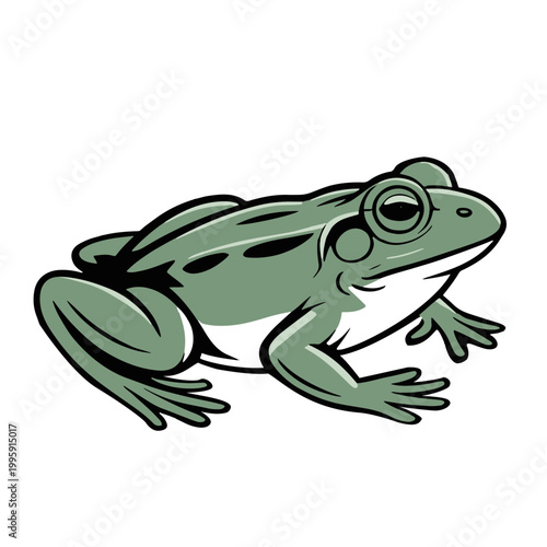 Cute Green Frog Vector Illustration