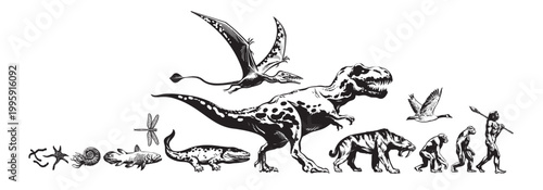 Timeline of evolution of life on Earth.