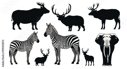 Collection of Diverse Animal Silhouettes and Illustrations.