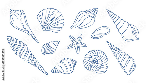 Line art set illustration of various seashells and starfish, ocean and sea theme