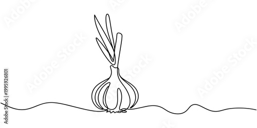 One line garlic vector illustration, Continuous one line drawing whole healthy organic garlic for plantation logo identity. Fresh cuisine seasoning concept for vegetable. Pro vector