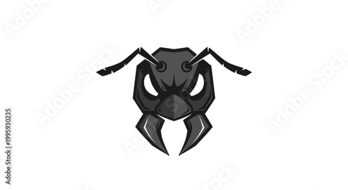 Black beetle insect close up.