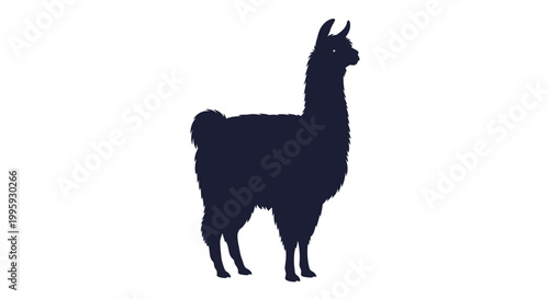 Black llama standing profile view.