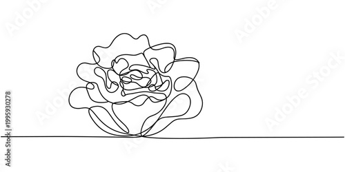 Lettuce bunch, vector illustration isolated on white background, Continuous one single minimal line drawing Lettuce, Lettuce continuous one line drawing, Lettuce Drawing, Lettuce Hand Drawn Icon.