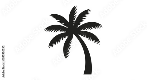 Black silhouette of a palm tree.