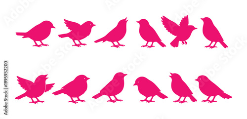 Φωτογραφία Vibrant pink bird silhouettes, a collection of twelve small songbird vectors in various poses, ideal for nature-themed designs, spring projects, or decorative elements
