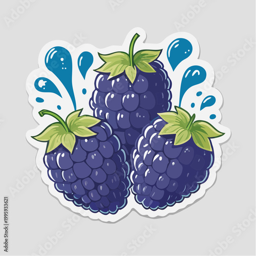 Three Ripe Blackberries with Water Splashes