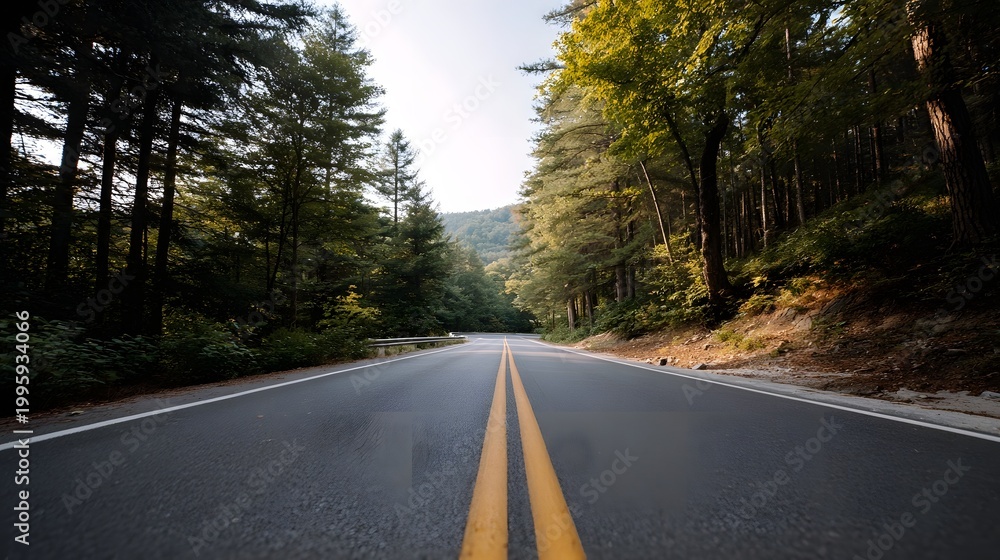 Fototapeta premium An empty asphalt road stretching into a dense verdant forest canopy capturing the serene essence of a journey through nature