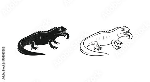 Vintage iguana lizard silhouette and line art vector set, black and white reptile illustrations, exotic tropical animal icons for nature branding