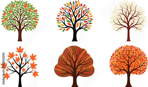 Autumn trees set with diverse foliage styles, colorful leaves, and seasonal variations illustrating fall nature, forest elements, and decorative botanical vector illustration collection