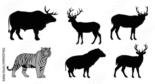 Collection of Animal Silhouettes and Tiger Illustration.