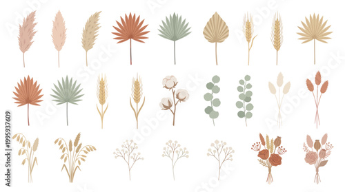 Dried Floral Elements and Bouquets Vector for Boho Wedding
