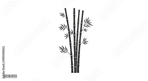 Bamboo Stems and Leaves Closeup.