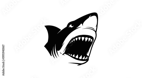 Black and white shark head closeup.