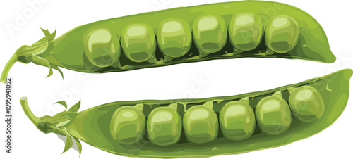 Fresh green pea pods with visible peas healthy organic vegetable food realistic vector illustration isolated on light background