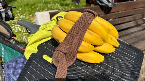 Tableau sur toile Bananas on bicycle pannier near Shkodra Lake in Virpazar under sunlight