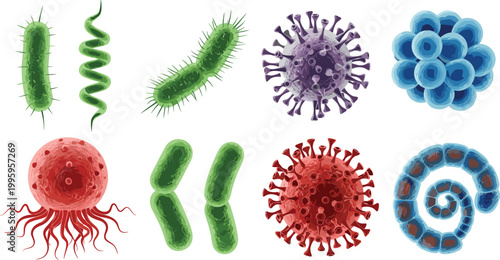 Microorganisms and virus cells set bacteria germs and microbes colorful medical biology illustration collection vector isolated on light background