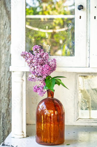 Spring branch of blossoming lilac closeup. flowers background