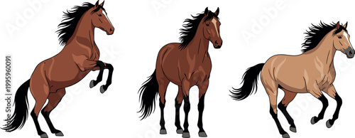 Set of Three Running Horse Vector Illustrations in Different Poses for Animal and Equestrian Designs, Logos, and Graphics