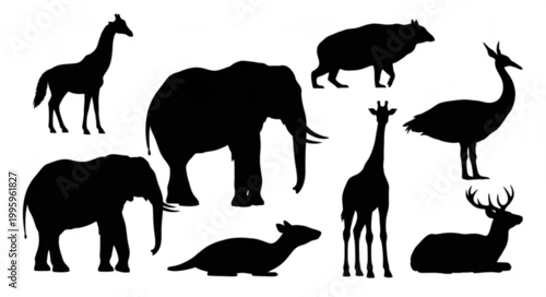 Obraz Collection of Diverse Animal Silhouettes Standing and Lying Down.